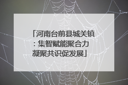 河南台前县城关镇：集智赋能聚合力 凝聚共识促发展
