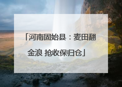 河南固始县：麦田翻金浪 抢收保归仓
