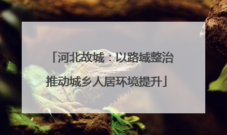 河北故城：以路域整治推动城乡人居环境提升
