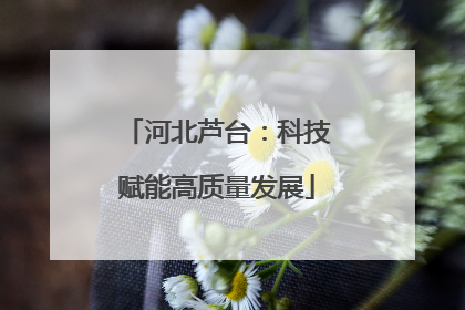 河北芦台：科技赋能高质量发展