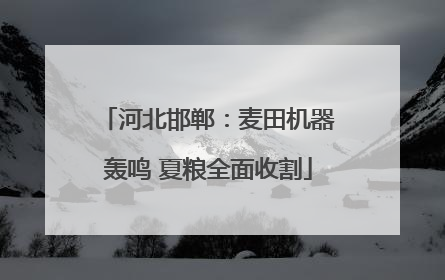 河北邯郸：麦田机器轰鸣 夏粮全面收割