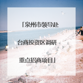 泉州市领导赴台商投资区调研重点招商项目
