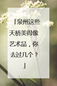 泉州这些天桥美得像艺术品，你去过几个？