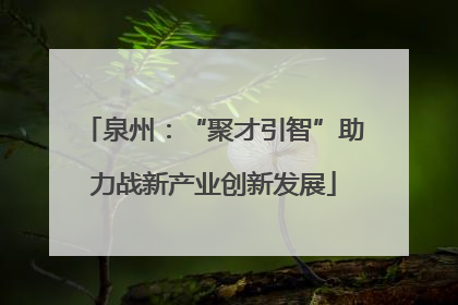 泉州：“聚才引智”助力战新产业创新发展