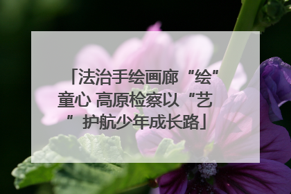 法治手绘画廊“绘”童心 高原检察以“艺”护航少年成长路