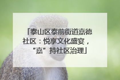 泰山区泰前街道嘉德社区：悦享文化盛宴，“嘉”持社区治理