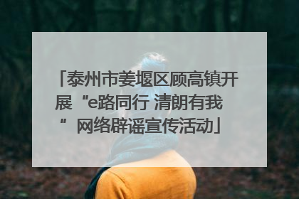 泰州市姜堰区顾高镇开展“e路同行 清朗有我”网络辟谣宣传活动