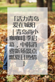 活力青岛 爱在城阳｜青岛尚小咖咖啡季启幕，中韩消费新场景点燃夏日热情