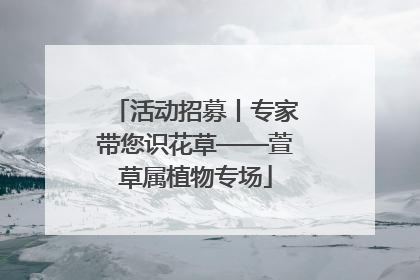 活动招募丨专家带您识花草——萱草属植物专场
