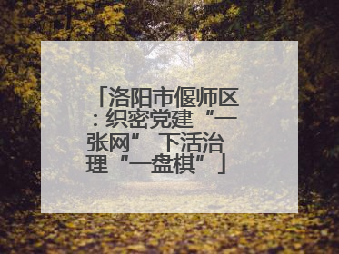 洛阳市偃师区：织密党建“一张网” 下活治理“一盘棋”