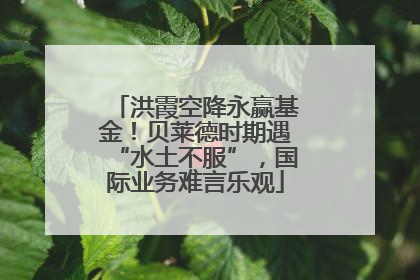 洪霞空降永赢基金！贝莱德时期遇“水土不服”，国际业务难言乐观