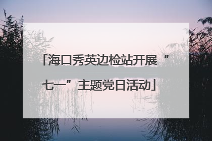 海口秀英边检站开展“七一”主题党日活动