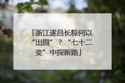 浙江遂昌长粽何以“出圈”？“七十二变”中探新路