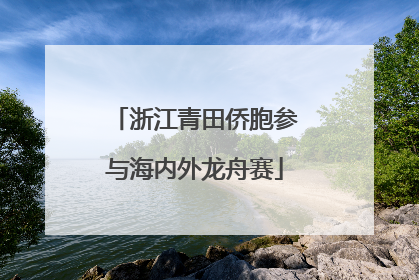 浙江青田侨胞参与海内外龙舟赛