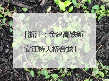 浙江：金建高铁新安江特大桥合龙