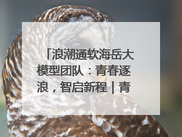浪潮通软海岳大模型团队：青春逐浪，智启新程｜青春思政课