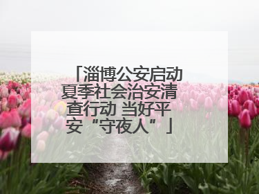 淄博公安启动夏季社会治安清查行动 当好平安“守夜人”