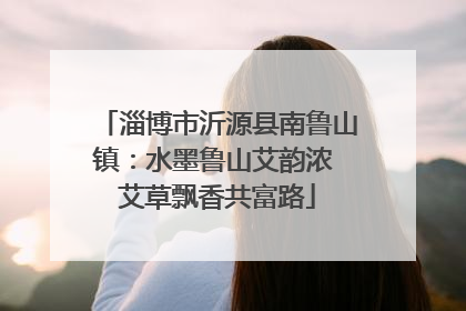 淄博市沂源县南鲁山镇：水墨鲁山艾韵浓 艾草飘香共富路