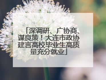深调研、广协商、谋良策！大连市政协建言高校毕业生高质量充分就业