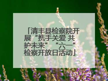清丰县检察院开展“携手关爱 共护未来”“六一”检察开放日活动