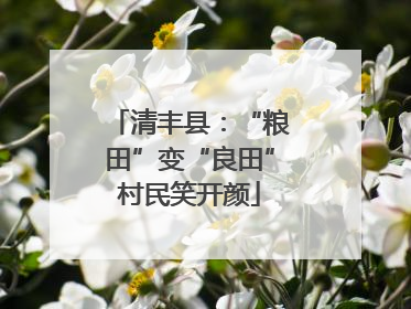 清丰县：“粮田”变“良田”村民笑开颜