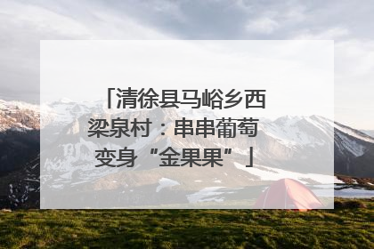 清徐县马峪乡西梁泉村：串串葡萄变身“金果果”