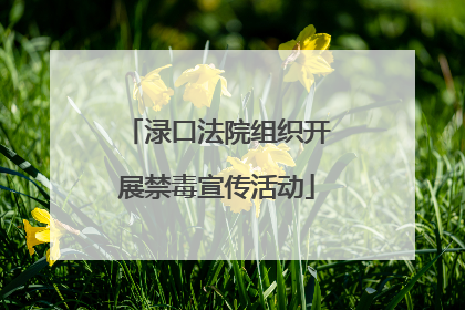 渌口法院组织开展禁毒宣传活动