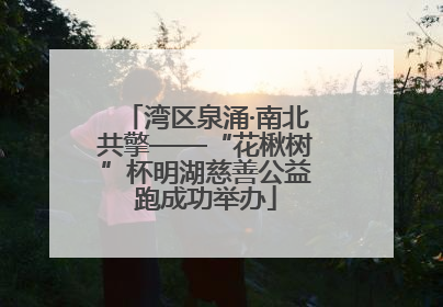 湾区泉涌·南北共擎——“花楸树”杯明湖慈善公益跑成功举办