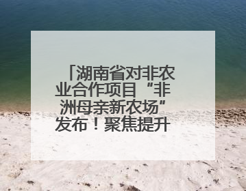 湖南省对非农业合作项目“非洲母亲新农场”发布!聚焦提升非洲妇女能力与家庭福祉
