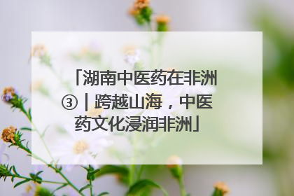 湖南中医药在非洲③｜跨越山海，中医药文化浸润非洲