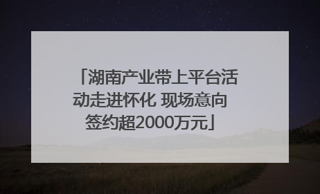 湖南产业带上平台活动走进怀化 现场意向签约超2000万元