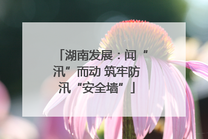 湖南发展：闻“汛”而动 筑牢防汛“安全墙”