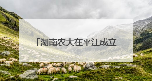 湖南农大在平江成立香米科技小院、稻米深加工联合实验室