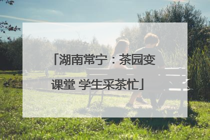 湖南常宁：茶园变课堂 学生采茶忙