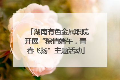 湖南有色金属职院开展“粽情端午，青春飞扬”主题活动