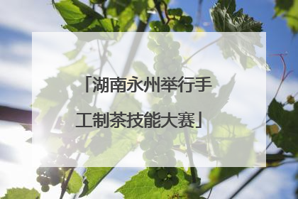 湖南永州举行手工制茶技能大赛