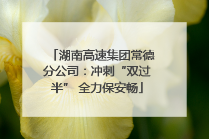 湖南高速集团常德分公司：冲刺“双过半” 全力保安畅