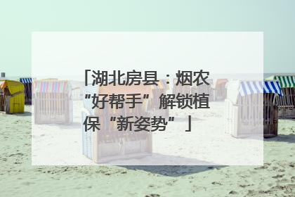 湖北房县：烟农“好帮手”解锁植保“新姿势”