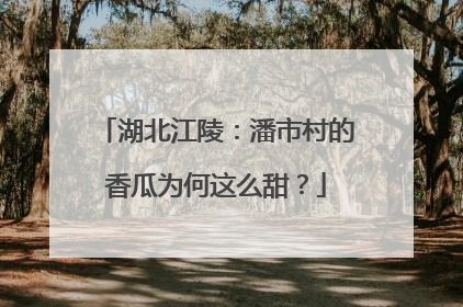 湖北江陵：潘市村的香瓜为何这么甜？