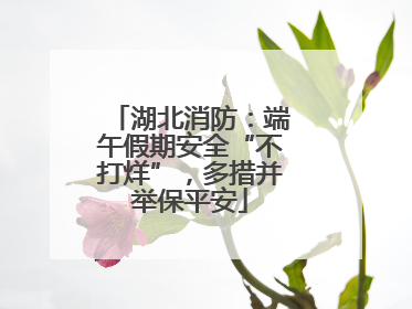 湖北消防：端午假期安全“不打烊”，多措并举保平安