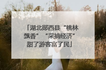 湖北郧西县“桃林飘香”“采摘经济”甜了游客富了民
