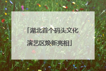 湖北首个码头文化演艺区焕新亮相