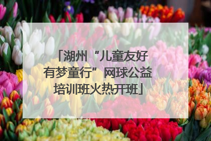 湖州“儿童友好 有梦童行”网球公益培训班火热开班