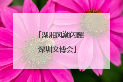 湖湘风潮闪耀深圳文博会