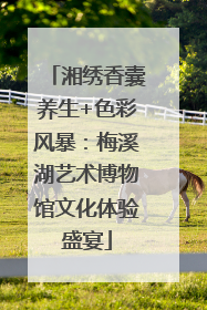 湘绣香囊养生+色彩风暴：梅溪湖艺术博物馆文化体验盛宴
