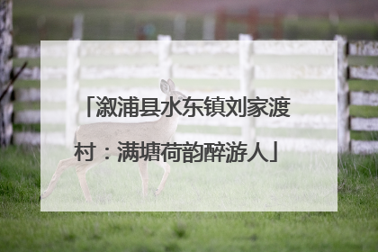 溆浦县水东镇刘家渡村：满塘荷韵醉游人