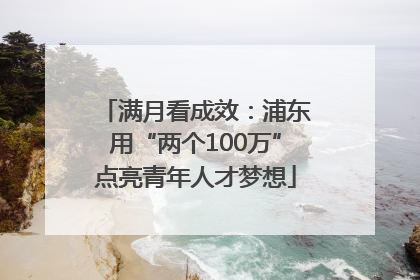 满月看成效：浦东用“两个100万”点亮青年人才梦想