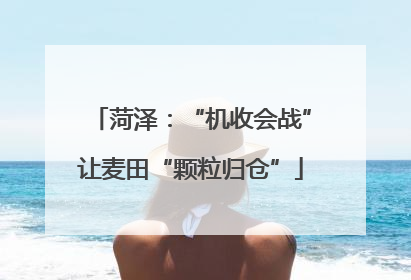 菏泽：“机收会战”让麦田“颗粒归仓”