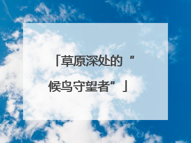 草原深处的“候鸟守望者”