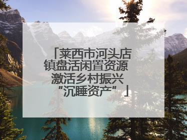 莱西市河头店镇盘活闲置资源 激活乡村振兴“沉睡资产”